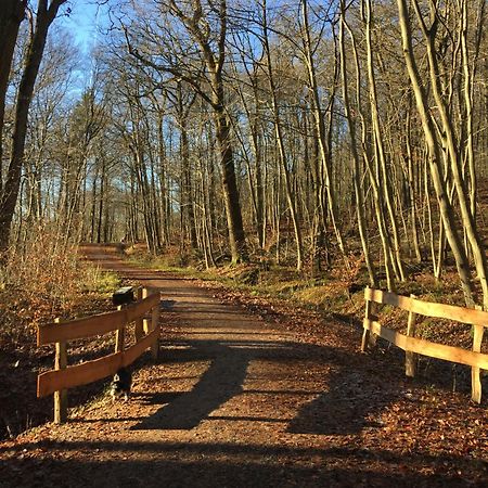 Waldmuehle Apartman Schleswig Kültér fotó