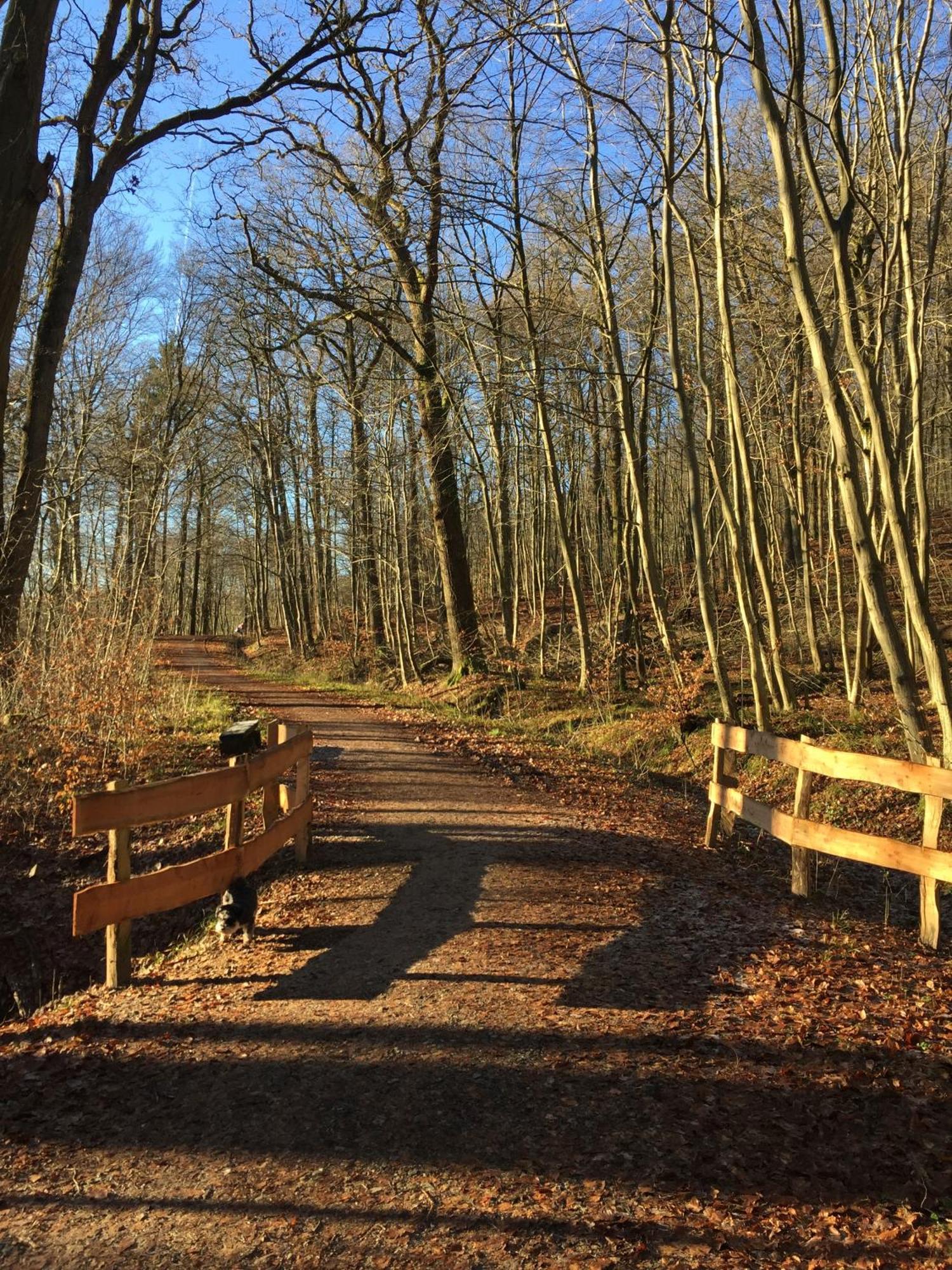 Waldmuehle Apartman Schleswig Kültér fotó